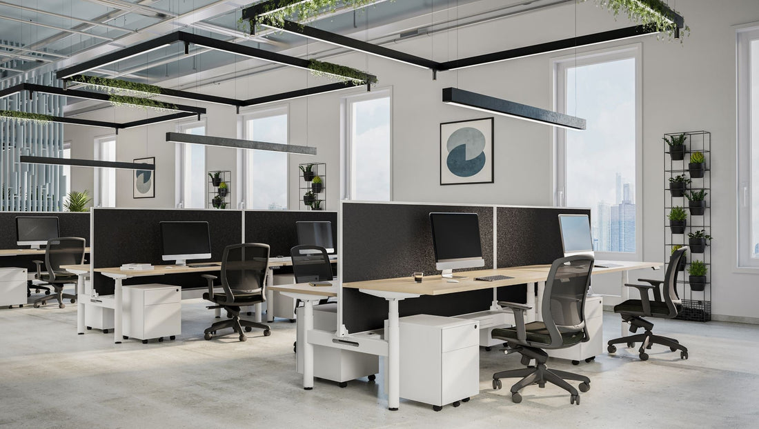 Why Ergonomic and Eco-Friendly Office Furniture Is Essential in 2025