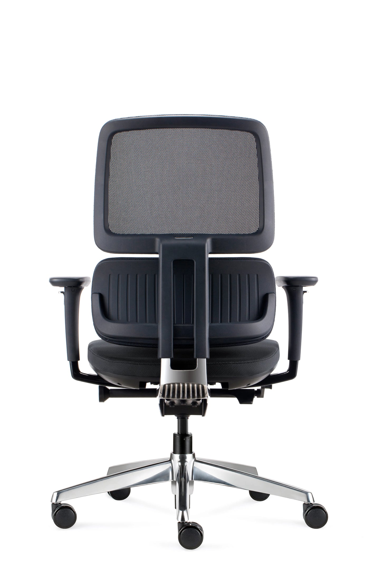Orca Chair