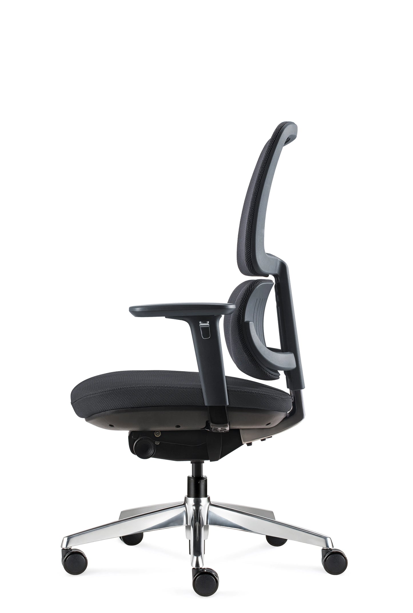 Orca Chair