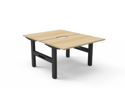 Boost Static Back to Back Workstation