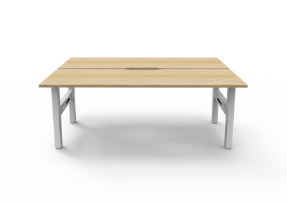 Boost Static Back to Back Workstation
