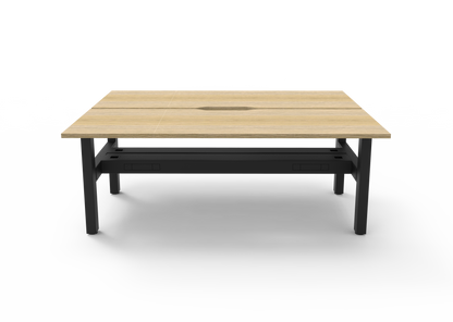 Boost Static Back to Back Workstation