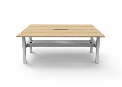 Boost Static Back to Back Workstation