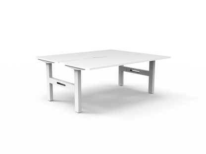 Boost Static Back to Back Workstation